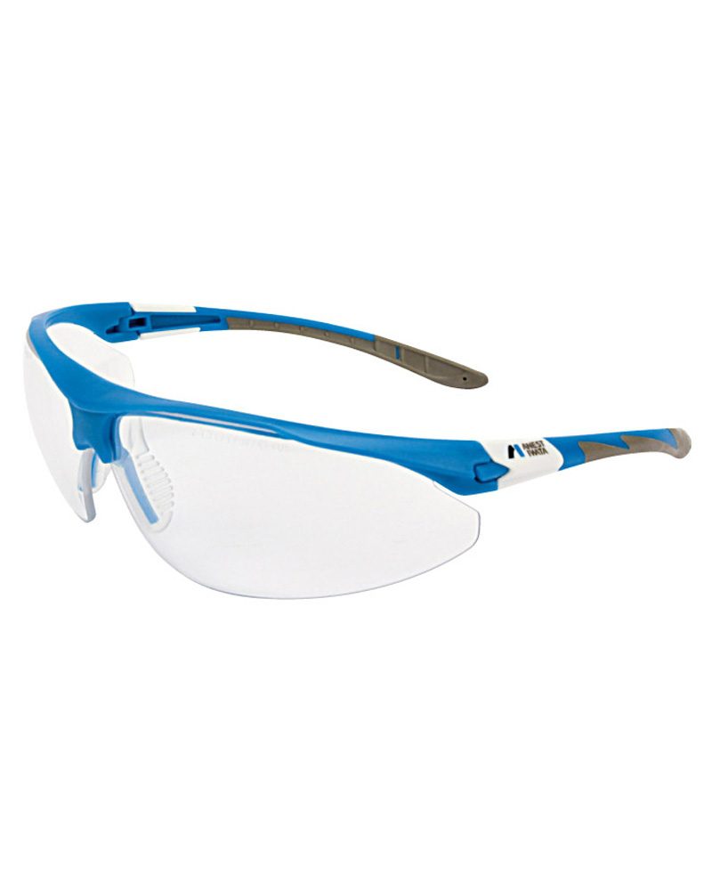 Iwata Visionshield Safety Glasses (ASA77015K4P0) spray guns direct